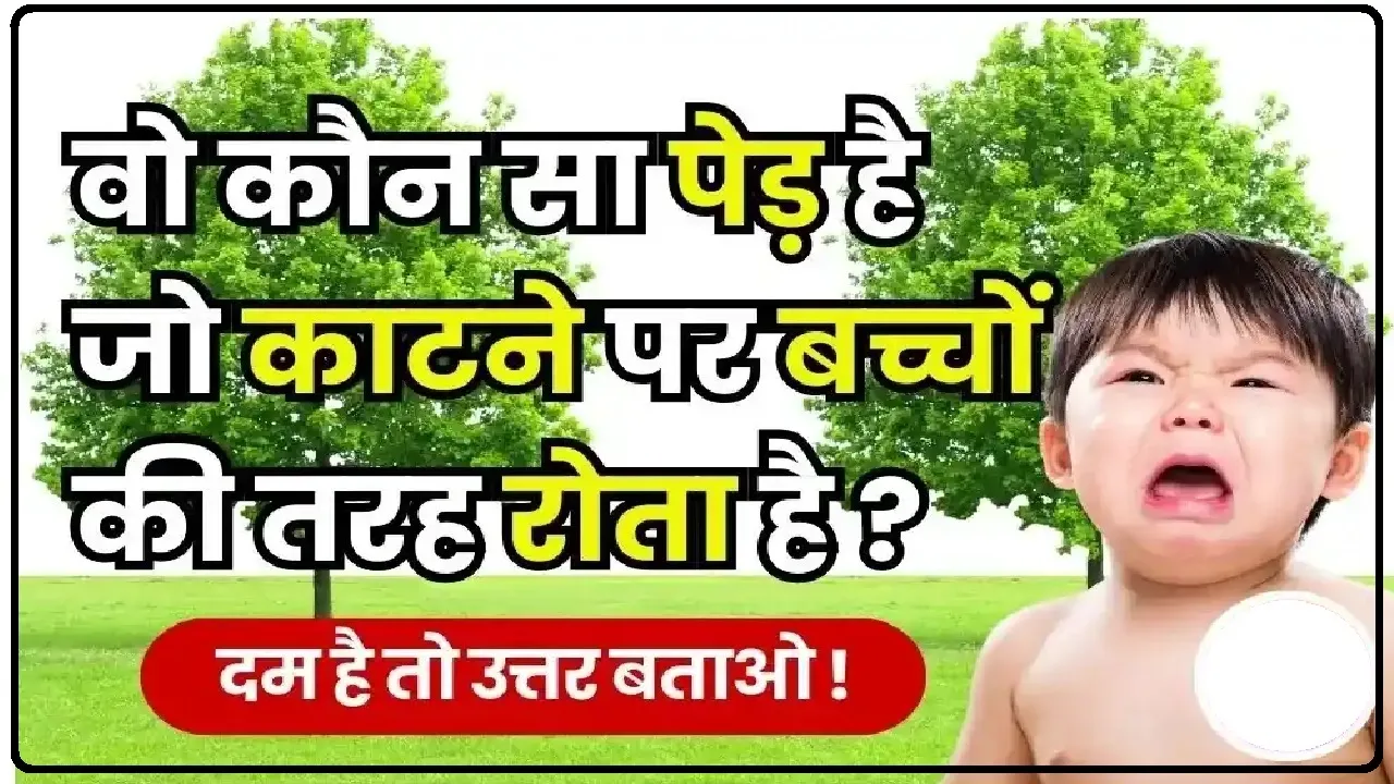 Trending GK Quiz ||  ऐसा कौन सा पेड़ है, जिसको काटने पर बच्चे के रोने की आवाज आती है?