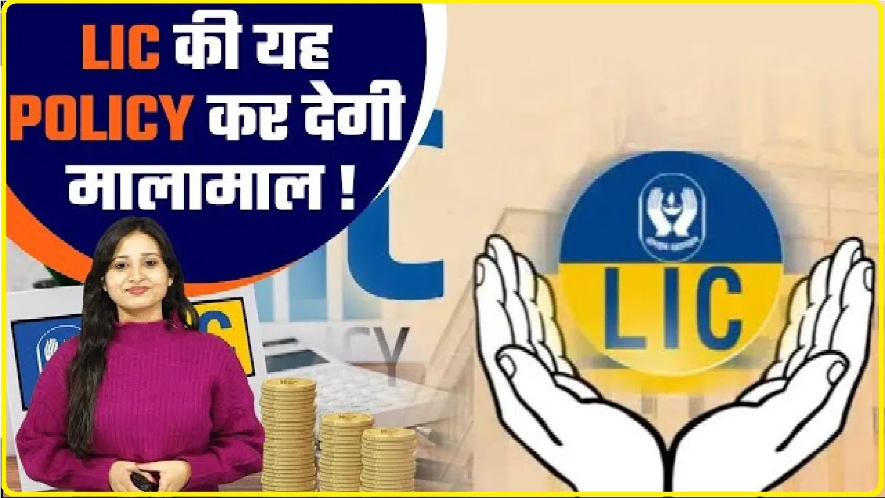 LIC Best Scheme || LIC लाया ऐसी धमाकेदार पॉलिसी, रोजाना 24 रुपये देकर पाएं 50 लाख का बीमा, नॉन-स्मोकर को कम देना होगा प्रीमियम