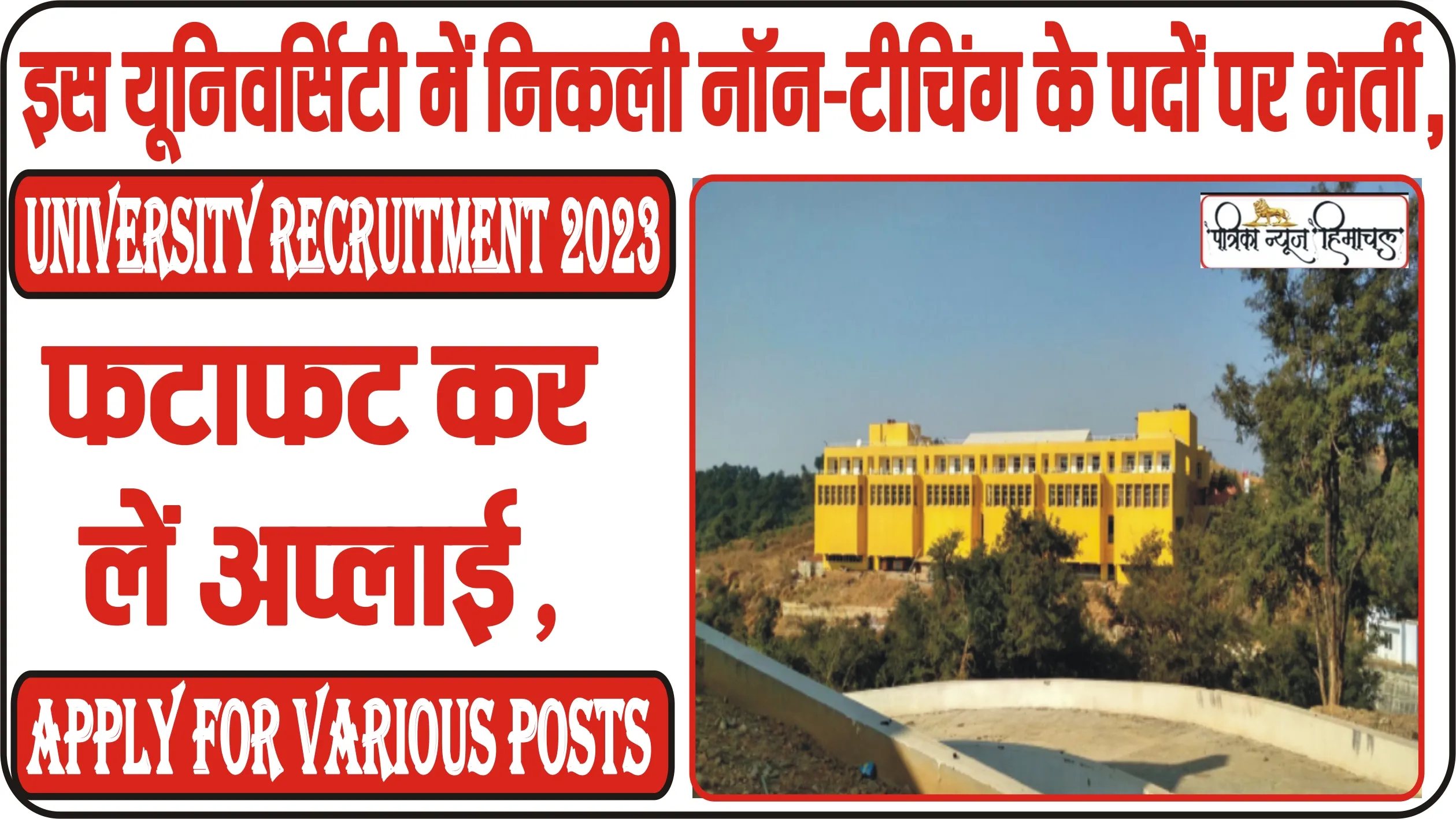 Central University Recruitment 2023 || इस यूनिवर्सिटी में निकली नॉन-टीचिंग के पदों पर भर्ती, फटाफट कर लें अप्लाई ||   Apply For Various Posts