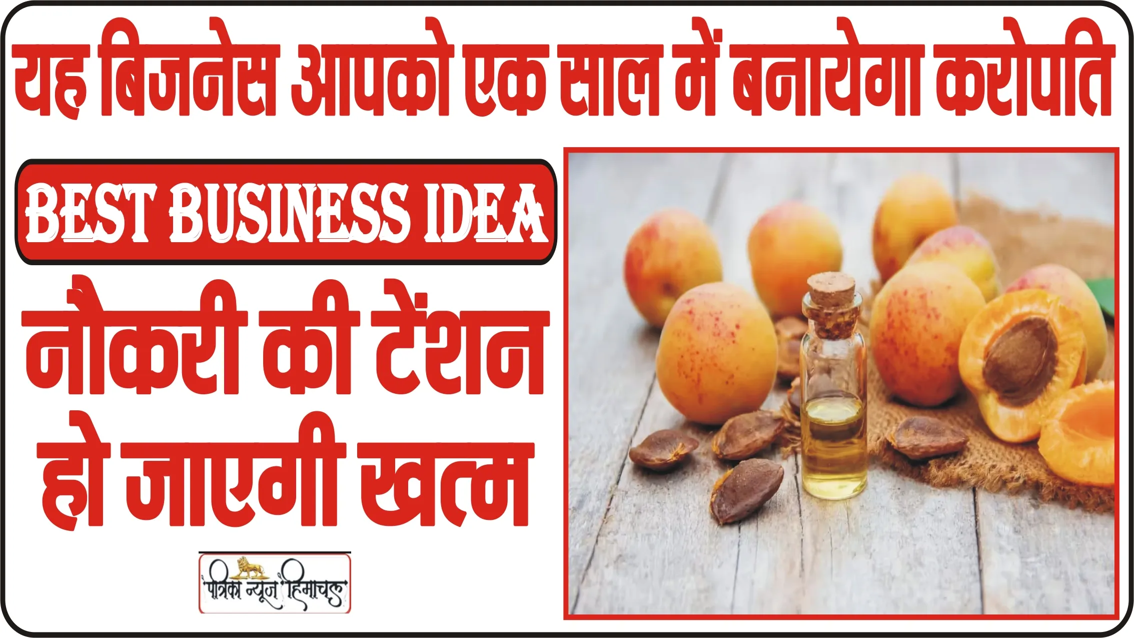 Best Business Idea ||  नौकरी की टेंशन हो जाएगी खत्म, यह बिजनेस आपको कर देगा मालामाल