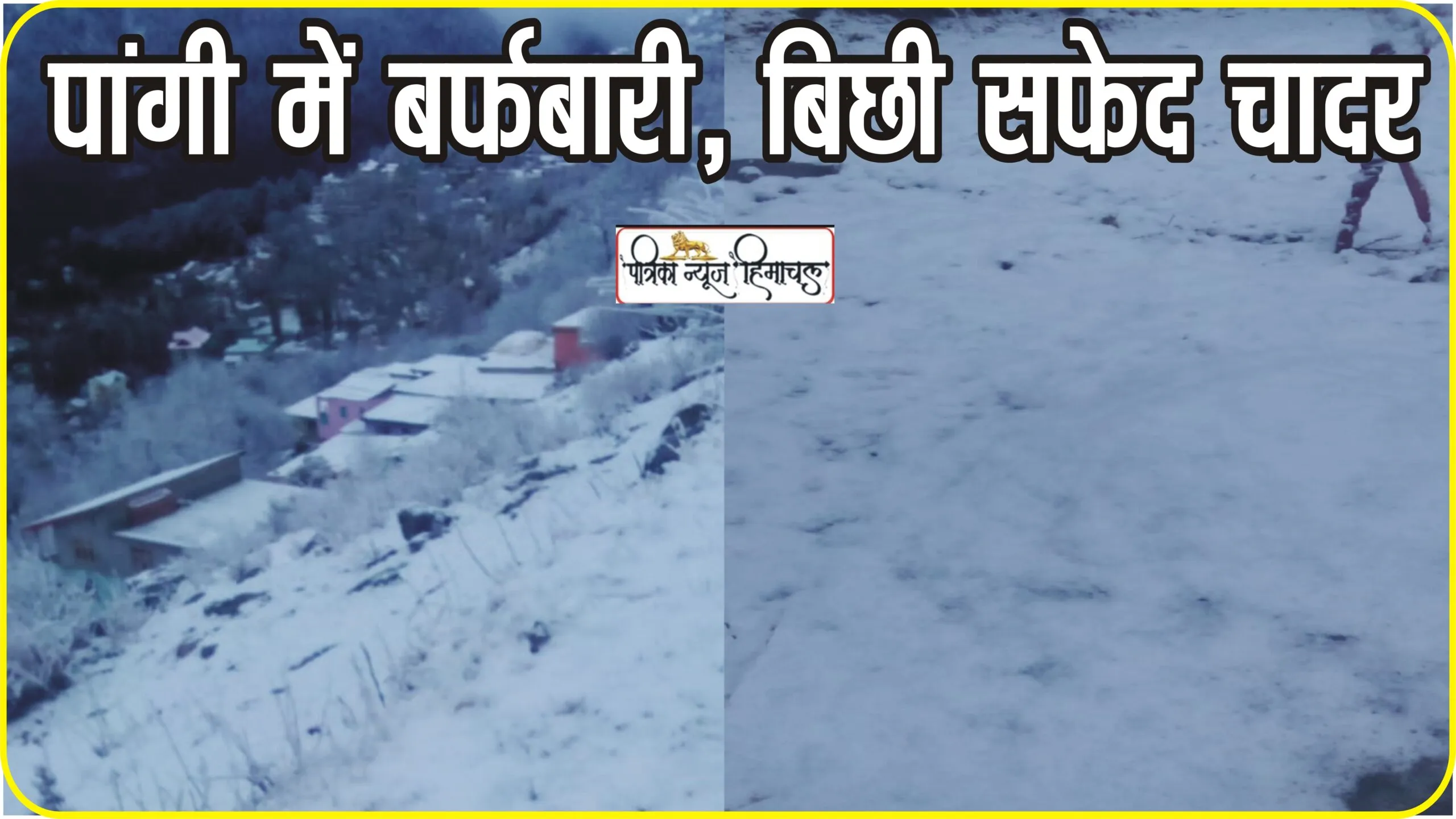 Fresh snowfall in Pangi ||  पांगी में  बिछी सफेद चादर, उपरले इलाकों में पांच इंच तक ताजा बर्फबारी, कई रूटों पर प्रभावित हुई एचआरटीसी