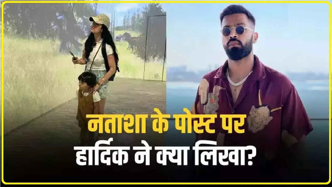 Hardik Pandya Comment On Natasa : तलाक के बाद नताशा स्टेनकोविक का पहला पोस्ट, हार्दिक पांड्या ने दिया रिएक्शन