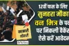 Chamba Pangi Govt. Job || पांगी में वन मित्र भर्ती की आवेदन तिथि बढ़ी,12वीं पास युवाओं को मिलेगी नौकरी