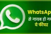 Whatsapp Features || यूजर्स को यह ख़बर निराश कर सकती है, अब इस फीचर का इस्तेमाल करने के लिए भरने होंगे पैसे