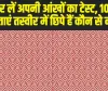 Optical Illusion : तुरंत कर लें अपनी आंखों का टेस्ट, 10 सेकंड में बताएं तस्वीर में छिपे हैं कौन से नंबर