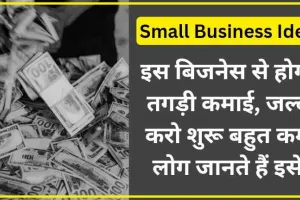 इस बिजनेस से होगी तगड़ी कमाई, जल्द करो शुरू बहुत कम लोग जानते हैं इसे – Small Business Idea