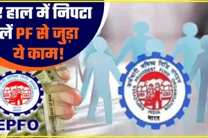 EPFO NEWS ||  जॉब बदलते ही आप भी निकाल लेते हैं PF का पैसा, सबसे गलत फैसला… ये 80 लाख कौन देगा?