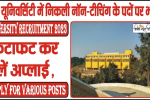 Central University Recruitment 2023 || इस यूनिवर्सिटी में निकली नॉन-टीचिंग के पदों पर भर्ती, फटाफट कर लें अप्लाई ||   Apply For Various Posts