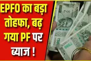  PF Interest Rate ||  चुनावी साल में कर्मचारियों के लिए खुशखबरी, PF पर ब्याज दर बढ़ने से होगा मुनाफा