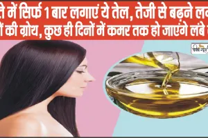 Oil for Hair Growth || हफ्ते में सिर्फ 1 बार लगाएं ये तेल, तेजी से बढ़ने लगेगी बालों की ग्रोथ