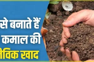 Organic Farming || किसानों के लिए जबरदस्त जैविक खेती करने  का तरीका, हर साल होगी लाखों की कमाई 