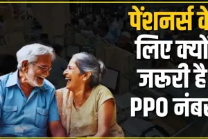 Ppo Number || पेंशन के लिए जरूरी है PPO नंबर, पेंशनभोगियों के लिए क्यों जरूरी है पीपीओ नंबर भूल जाने पर कैसे पाएं पता?