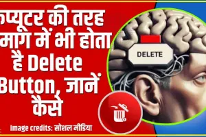 Mental Health ||  आपके दिमाग में भी होता है Delete Button, मिट सकती हैं कड़वी यादें, ऐसे करें इस्तेमाल