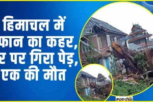 Himachal News || मंडी के करसोग में तेज तूफान से रसोई घर पर गिरा पेड़, 42 वर्षीय व्यक्ति की मौत