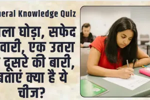 General Knowledge Quiz || काला घोड़ा, सफेद सवारी, एक उतरा तो दूसरे की बारी, बताएं क्या है ये चीज?