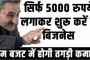 Best Business Idea: सिर्फ 5000 रुपये लगाकर शुरू करें ये बिजनेस! होगी तगड़ी कमाई