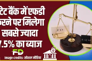 SBI FD Interest Rates 2024 || SBI की इस एफडी पर बंपर ऑफर, मिलेगा सबसे ज्यादा 7.5% का ब्याज