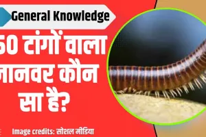 MostTrendingGk Quiz || 750 टांगों वाला जानवर कौन सा है?