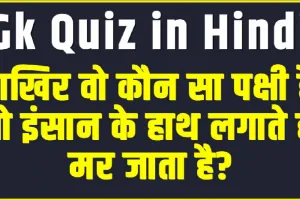 Trending Quiz || आखिर वो कौन सा पक्षी है, जो इंसान के हाथ लगाते ही मर जाता है?