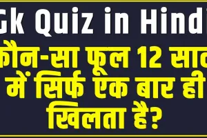 Trending Quiz || कौन-सा फूल 12 साल में सिर्फ एक बार ही खिलता है?