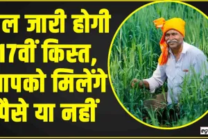 PM Kisan Samman Nidhi Yojana || देश के किसानों के लिए बड़ी खुशखबरी, कल खाते में आएगी 17वीं किस्त, इस तरह चेक करें