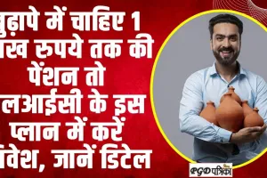 LIC Pension Plan: बुढ़ापे में चाहिए 1 लाख रुपये तक की पेंशन, तो LIC की धासू प्लान में अभी करें निवेश