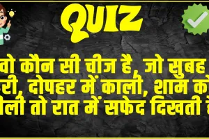 Trending GK Quiz: वो कौन सी चीज है, जो सुबह हरी, दोपहर में काली, शाम को नीली तो रात में सफेद दिखती है?