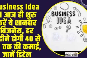 Business Idea ll आज ही शुरु करें ये शानदार बिजनेस, हर महीने होगी 40 से 50 तक की कमाई, जानें डिटेल