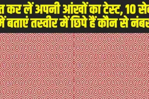 Optical Illusion : तुरंत कर लें अपनी आंखों का टेस्ट, 10 सेकंड में बताएं तस्वीर में छिपे हैं कौन से नंबर