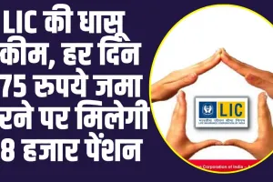 LIC  Special Scheme : LIC की धासू स्कीम, हर दिन 275 रुपये जमा करने पर मिलेगी 48 हजार पेंशन