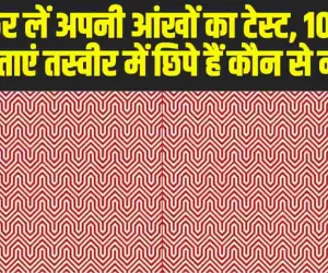 Optical Illusion : तुरंत कर लें अपनी आंखों का टेस्ट, 10 सेकंड में बताएं तस्वीर में छिपे हैं कौन से नंबर