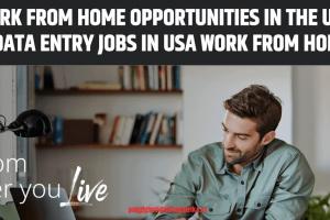 Work from Home Opportunities in the USA || Teleperformance usa work from Home || Data entry jobs in usa work from home