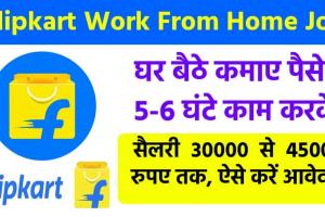 Flipkart Work From Home Job : घर बैठे बेरोजगारों के लिए खुशखबरी, Flipkart के साथ मिलकर कमाई महीने का 30 हजार